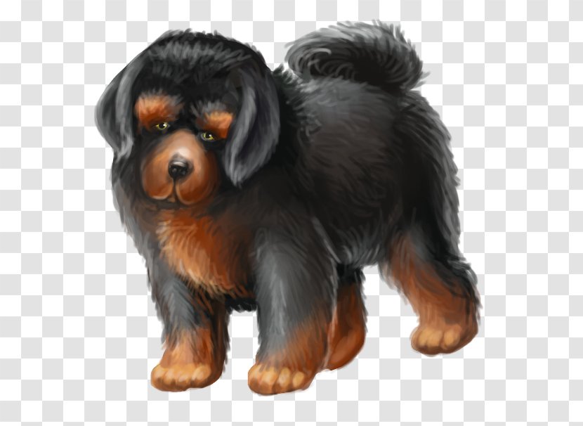 Rottweiler Puppy Companion Dog Breed Transparent PNG
