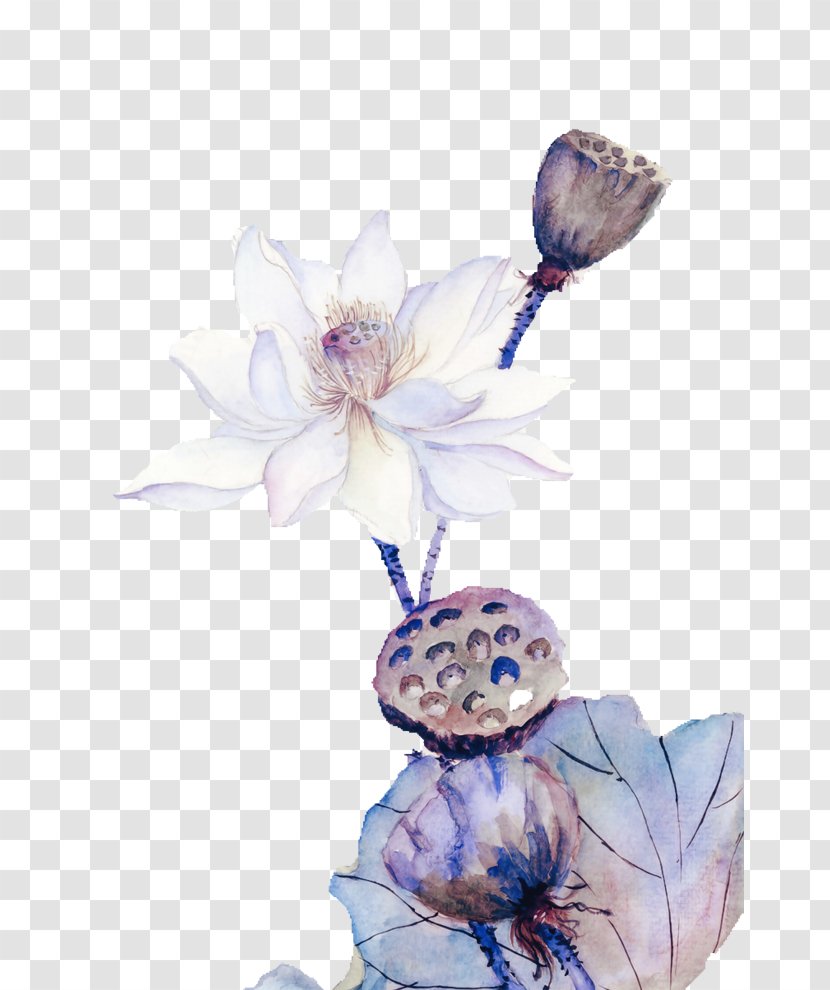 Nelumbo Nucifera Ink Wash Painting Chinese - Still Life Photography - Hand-painted Lotus Dream Transparent PNG