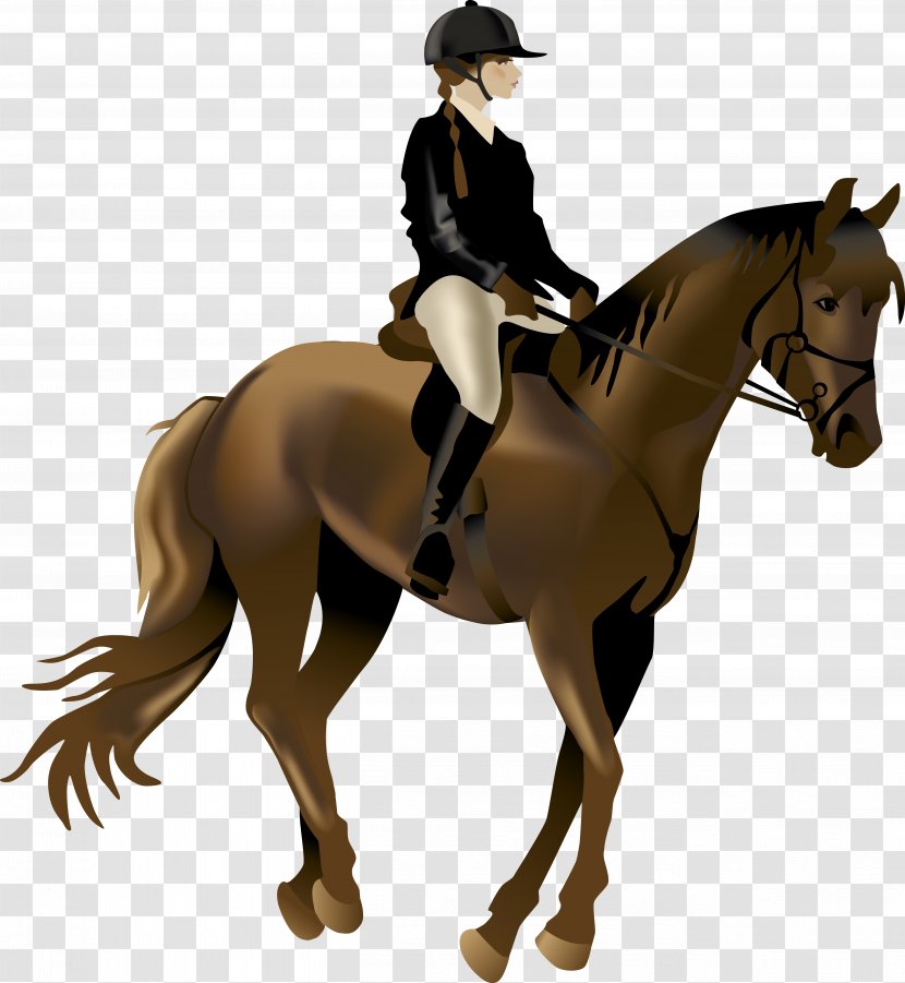 Horse Equestrianism Illustration - Mane - Riding Transparent PNG
