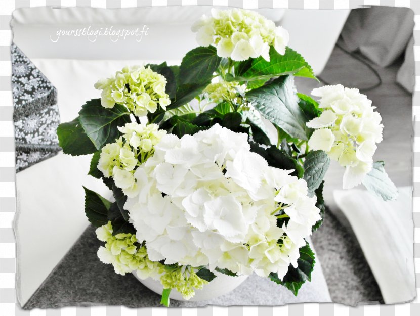 Hydrangea Cut Flowers Floral Design Flower Bouquet Yours Clothing - Time - Koppa Transparent PNG