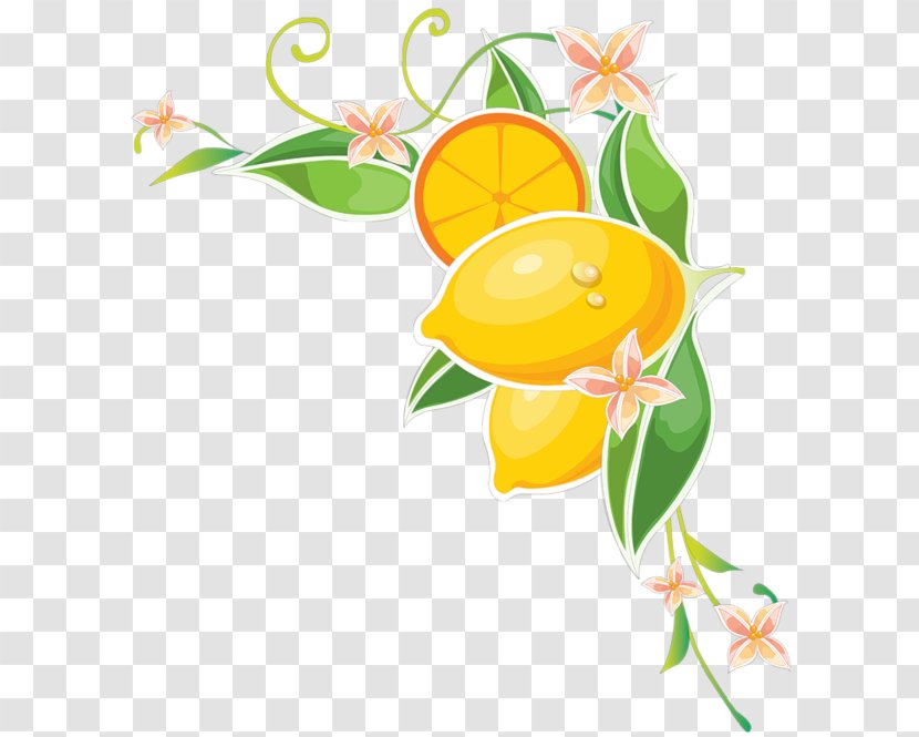 Lemon Juice Clip Art - Flowering Plant - Mango Clipart Transparent PNG