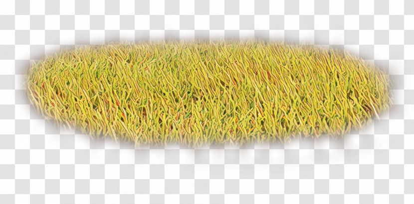 Brush Background - Commodity - Plant Household Supply Transparent PNG