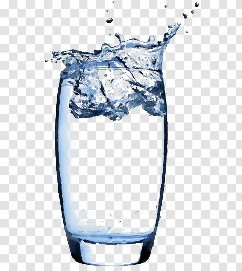 Water Tumbler Drinking Drink Glass - Paint - Plant Liquid Transparent PNG