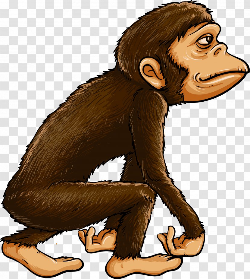 Chimpanzee Ape Primate Monkey - Fictional Character - Evolution Transparent PNG