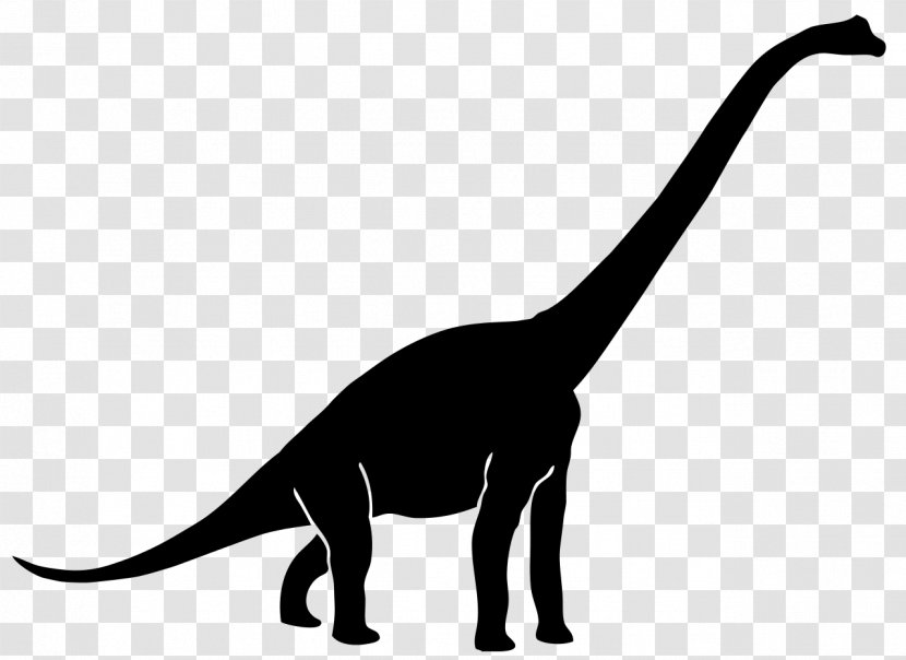Diplodocus Brachiosaurus Tyrannosaurus Brontosaurus Ankylosaurus - Dinosaurs Transparent PNG