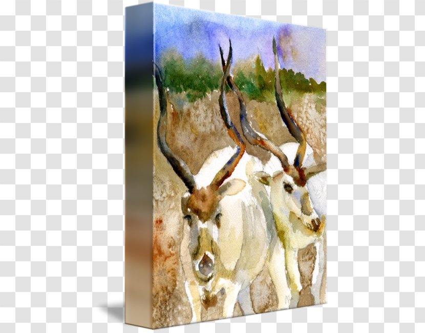 Reindeer Antelope Antler Fauna Wildlife - Watercolor Painting Nature Transparent PNG