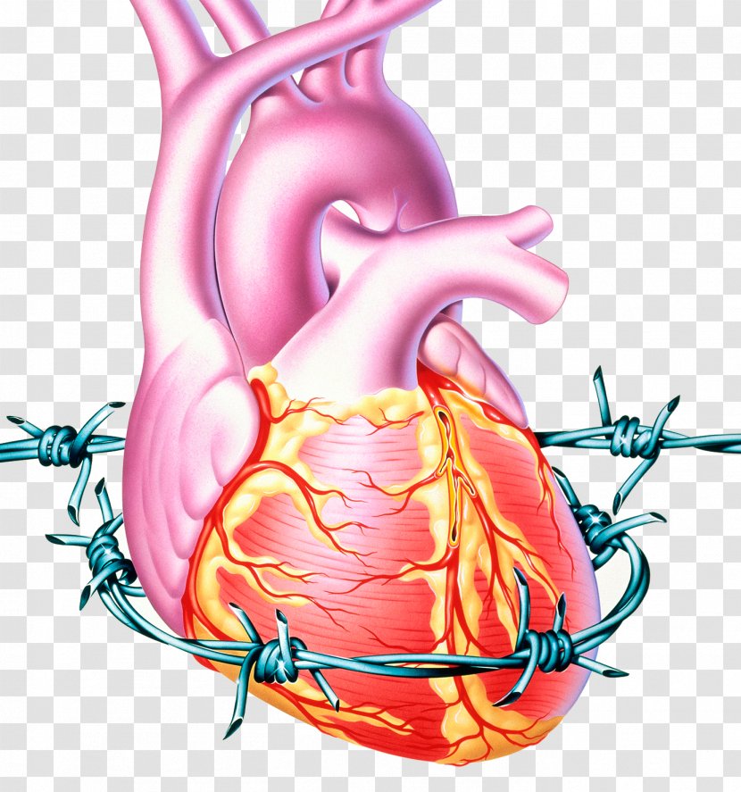 Angina Pectoris Cardiopatia Isquxe8mica Heart Disease Ischemia - Flower - Cholesterol Coronary Transparent PNG