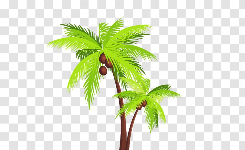 Coconut Arecaceae Tree Clip Art - Cartoon Transparent PNG