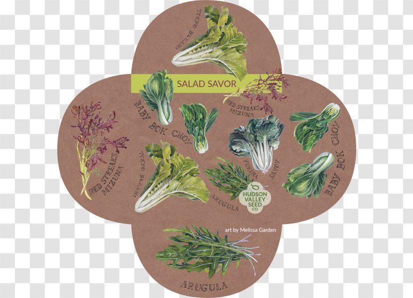 Hudson Valley Seed Company Herb Leaf Vegetable Library - Salad Transparent PNG