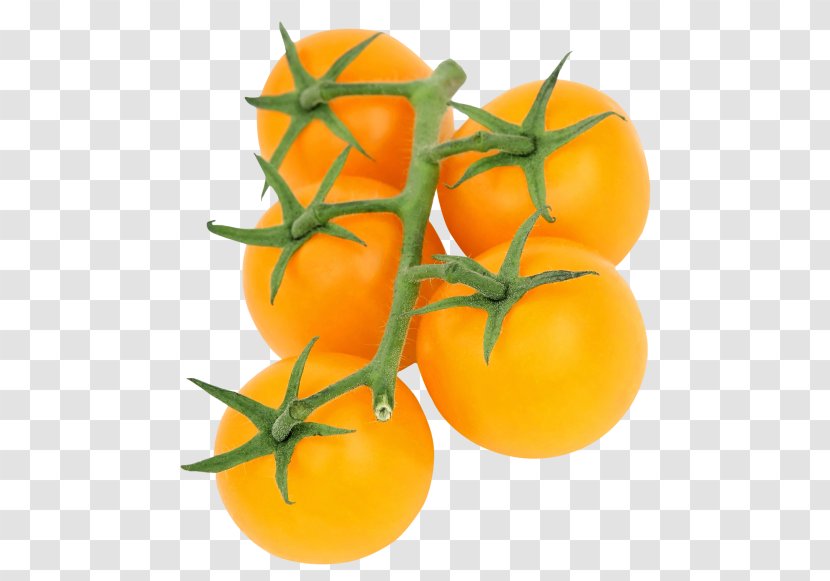 Tomato Juice Cherry Pumpkin - Orange - Vegetables Transparent PNG