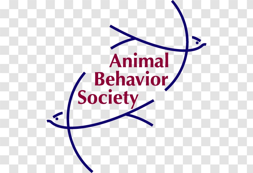 Dog Puppy Cat Animal Behavior Society Pet Transparent PNG