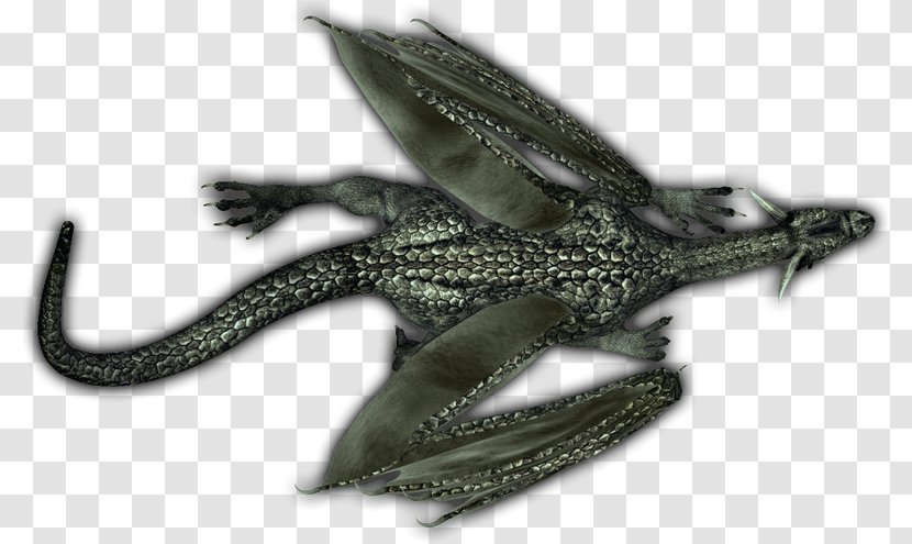 Reptile Transparent PNG