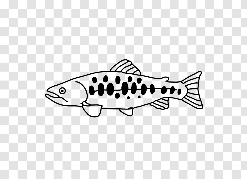 Oncorhynchus Masou Formosanus Chinese Wikipedia Fish January - Black And White Transparent PNG