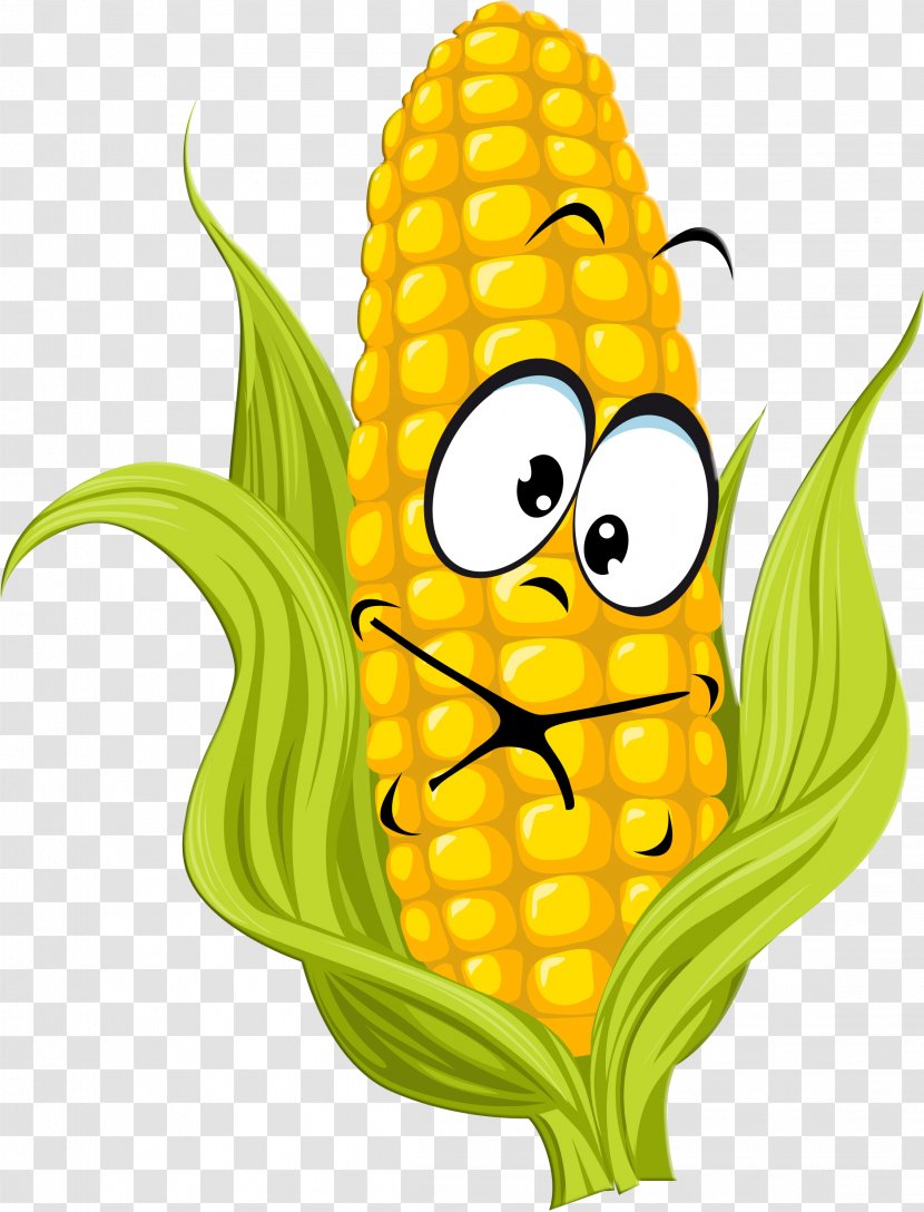 Corn On The Cob Candy Maize Kernel - Plant - Vegetable Transparent PNG