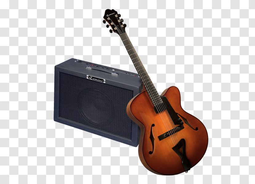 Guitar Amplifier Electric Musical Instruments Jazz - Flower Transparent PNG