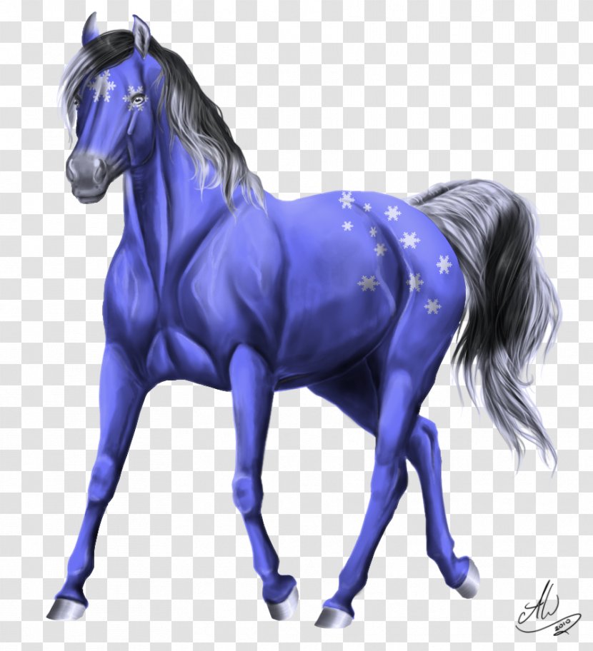 Stallion Mustang Mare American Paint Horse Appaloosa Transparent PNG