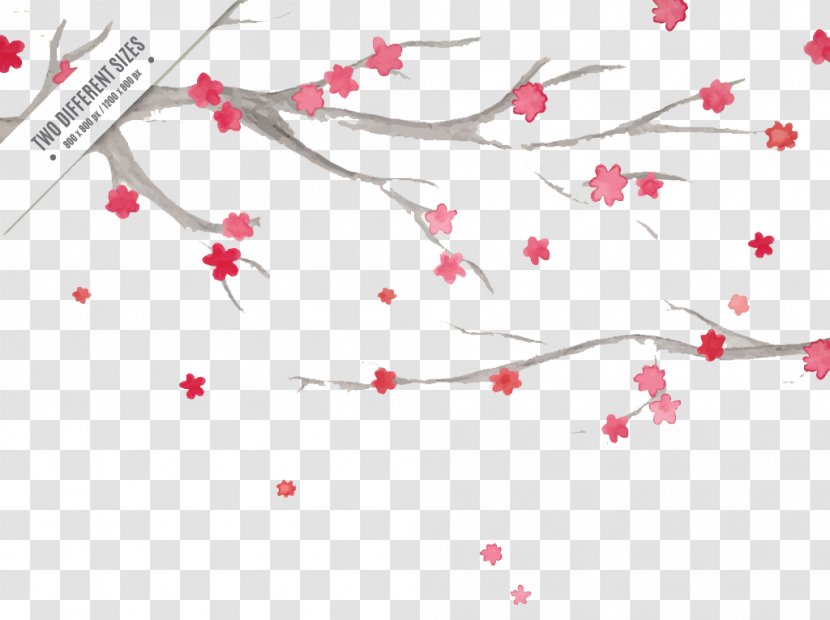 Watercolor Painting Cherry Blossom - Lovely Tree Branches And Creatives Transparent PNG