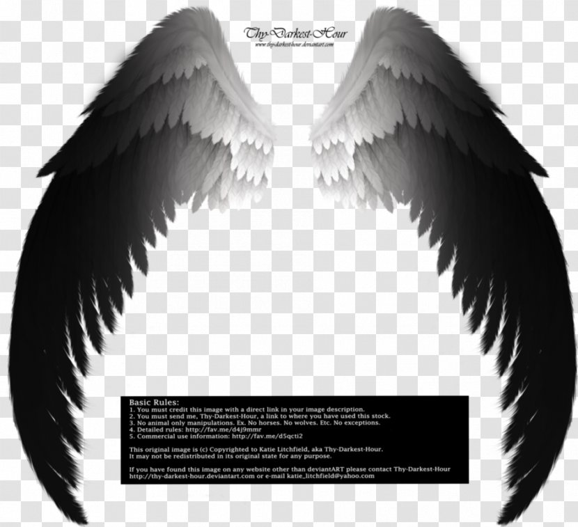 Archangel Drawing Fallen Angel - Photography - Wings Transparent PNG