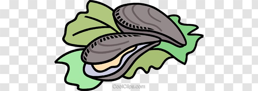 Oyster Clam Drawing Clip Art - Flower - Royaltyfree Transparent PNG