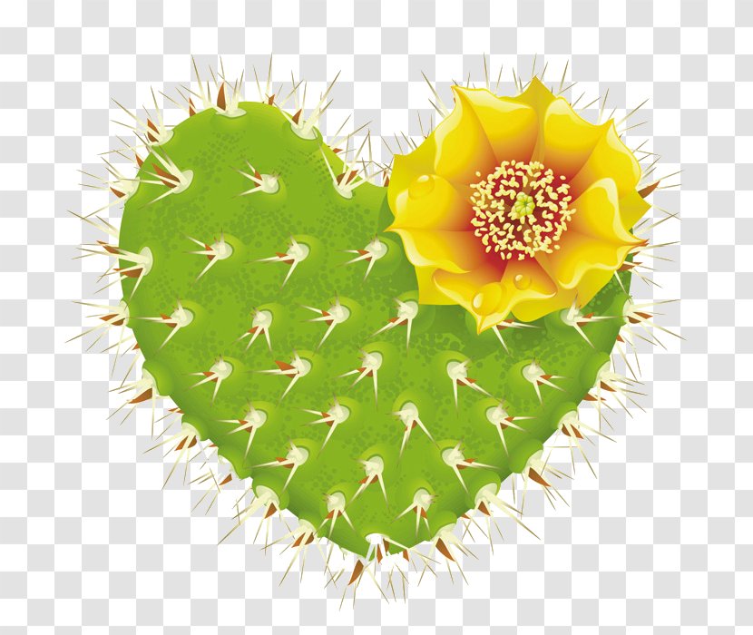 Cactaceae Thorns, Spines, And Prickles Shape Heart Barbary Fig - Organism Transparent PNG