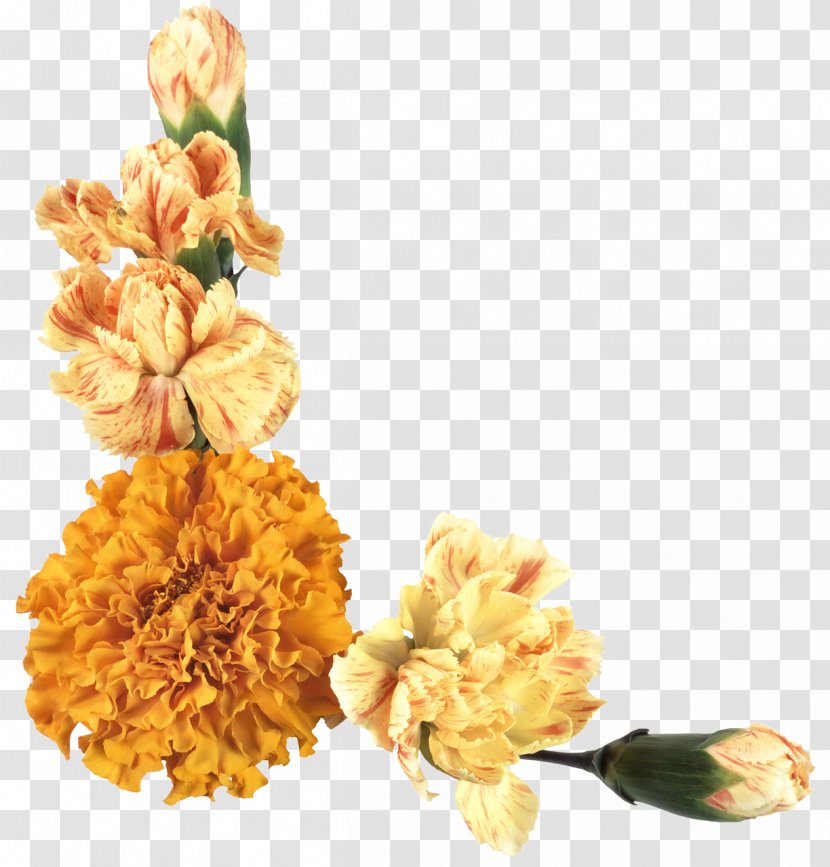 Cut Flowers Floral Design Clip Art - Yellow Transparent PNG