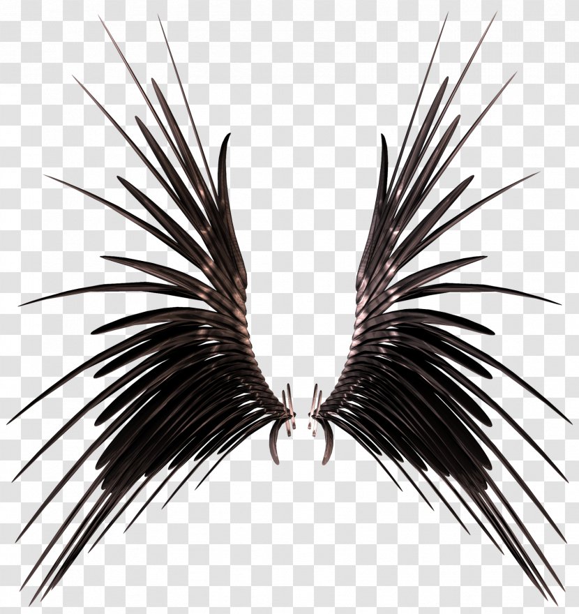 Stock Photography DeviantArt Wing - Creative Black Wings Transparent PNG