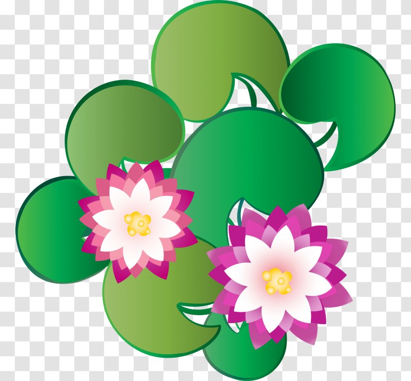 Lily Flower Cartoon - Leaf - Lotus Wildflower Transparent PNG