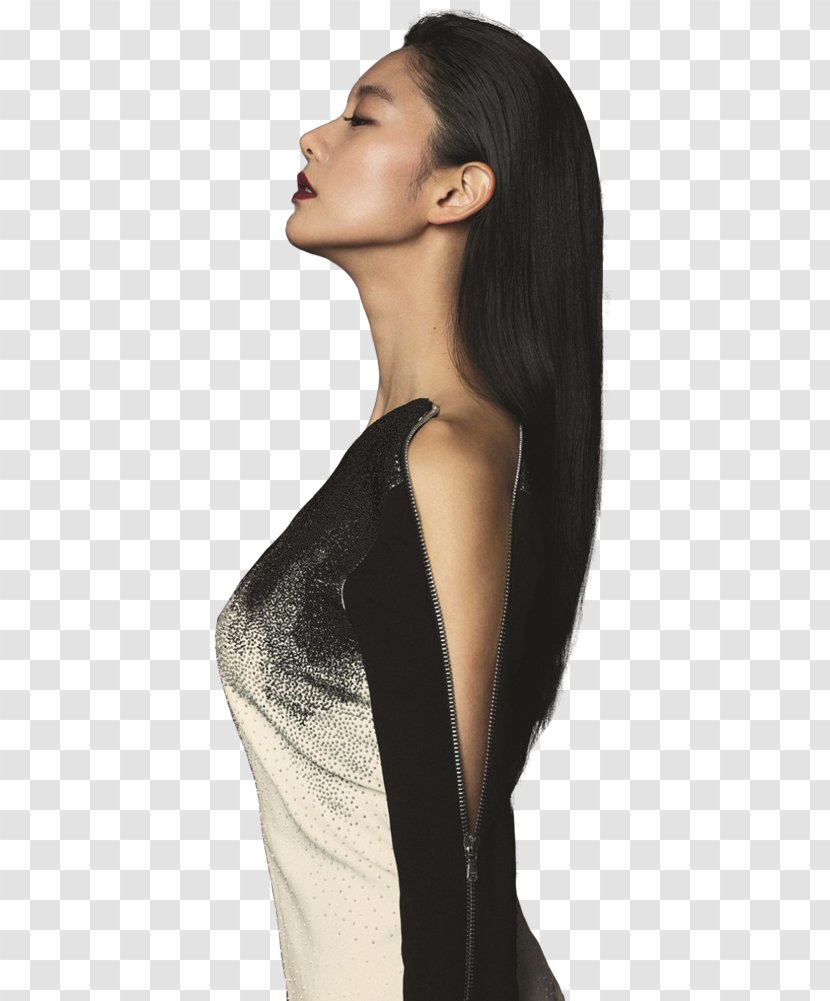 Fashion Model Hair Coloring Black Long - Brown Transparent PNG
