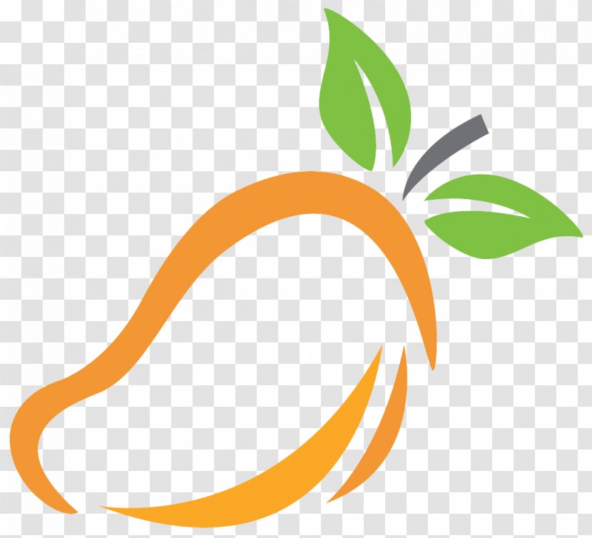 Orange - Logo - Plant Transparent PNG