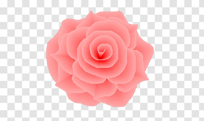 Garden Roses Light Flower Centifolia Pink - Rose Transparent PNG