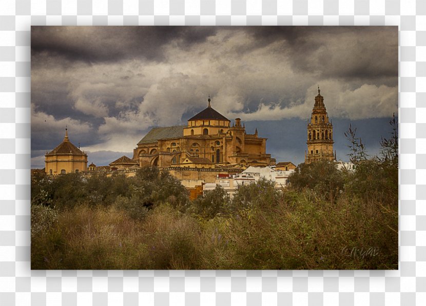 Mosque Of Cordoba Medieval Architecture Cathedral Monastery - Verb - Al Aqsa Transparent PNG