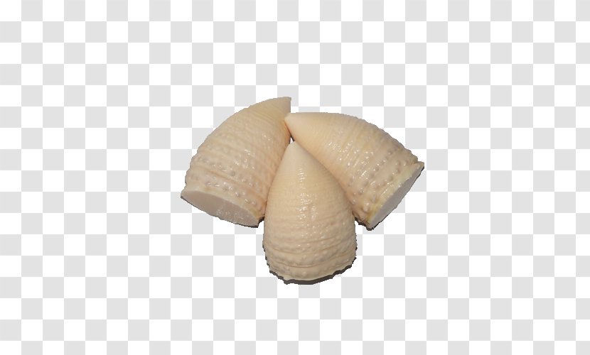 Bamboo Shoot Cockle - Ingredient - Shoots Product Transparent PNG