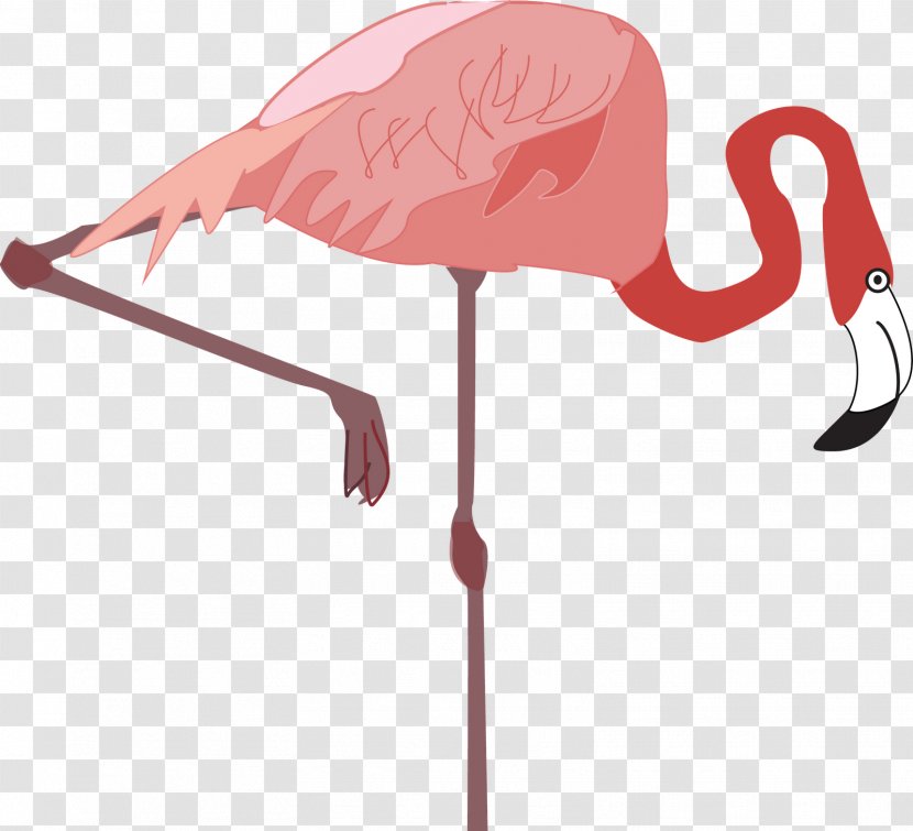 Vertebrate Water Bird Flamingo Drawing Transparent PNG