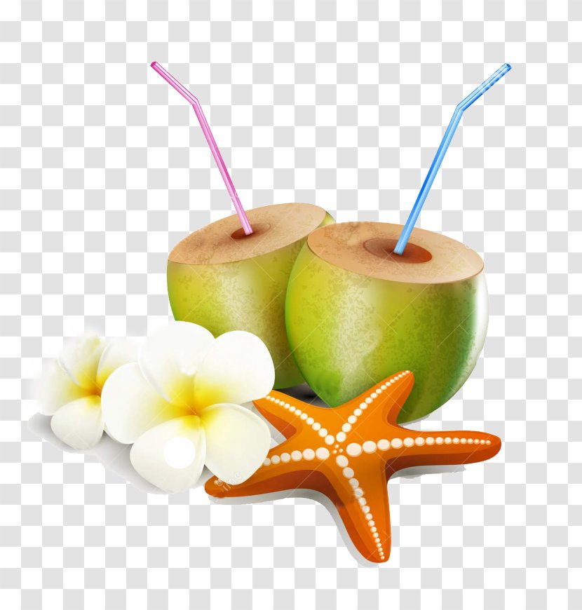 Coconut Water Clip Art Illustration Vector Graphics Transparent PNG