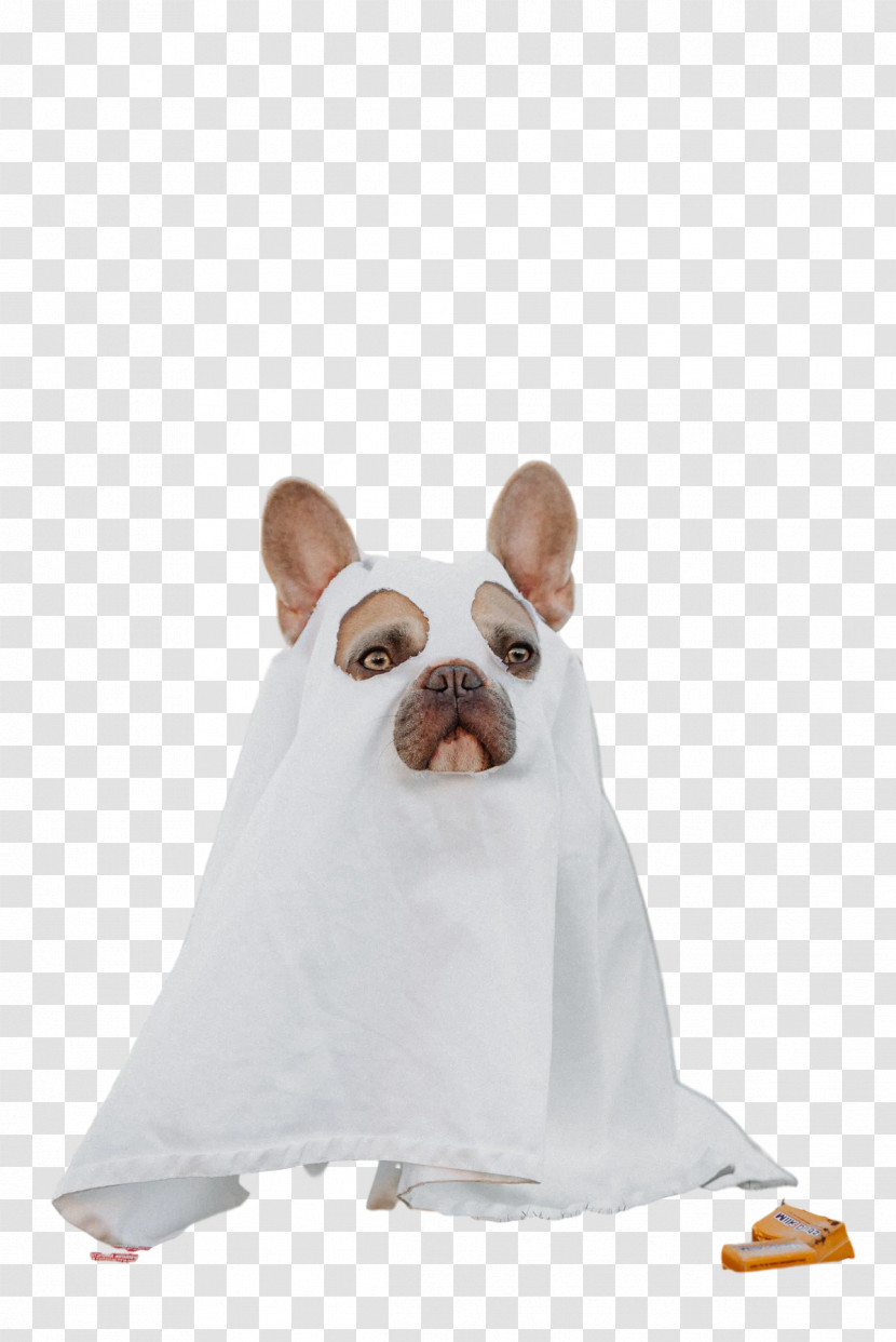 Dog Snout Groupm Textile Transparent PNG