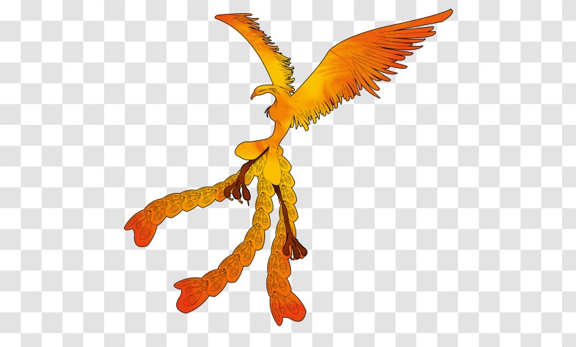 Beak Feather - Animal Figure Transparent PNG