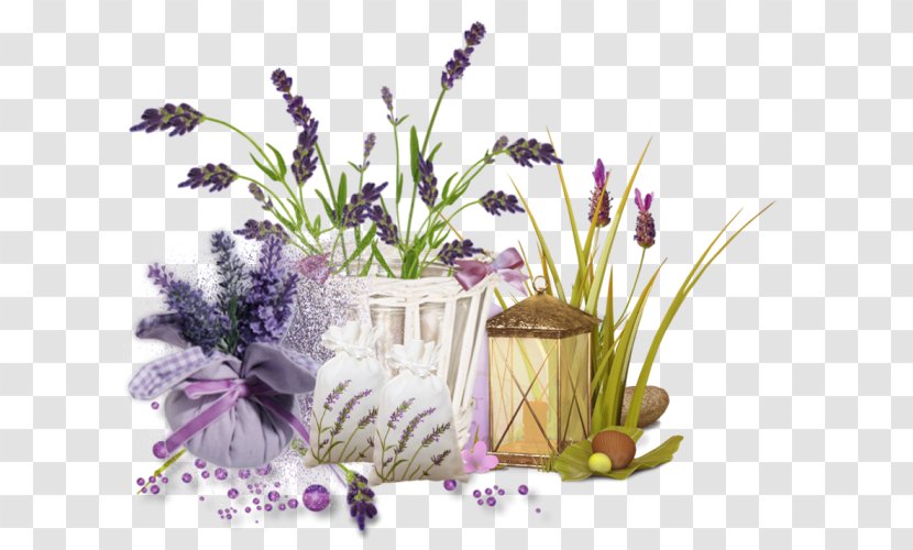 English Lavender Cut Flowers French Plant - Floral Design - Flower Transparent PNG
