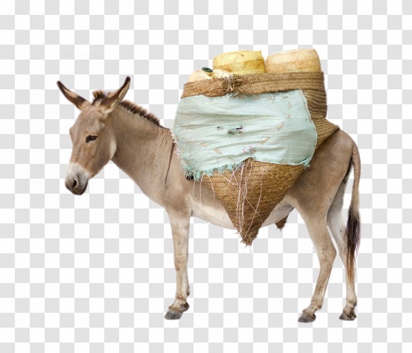 Mule Donkey Stock Photography Horses Royalty-free - Pin The Tail On - Laden With Goods Transparent PNG