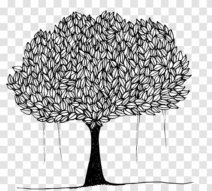 Tree Ficus Religiosa Banyan Clip Art - Visual Arts Transparent PNG