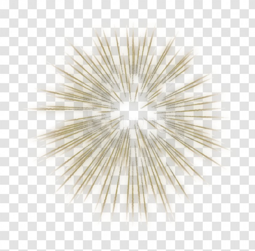 Clip Art Image Fireworks Transparency - Firework Symmetry Transparent PNG