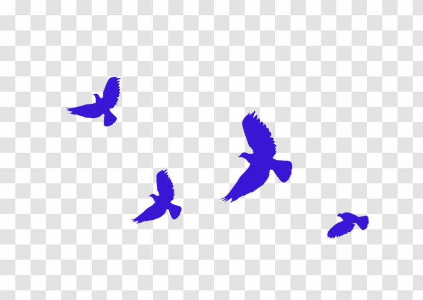 19th National Congress Of The Communist Party China Socialism With Chinese Characteristics - Violet - Blue Simple Flying Pigeon Decoration Pattern Transparent PNG