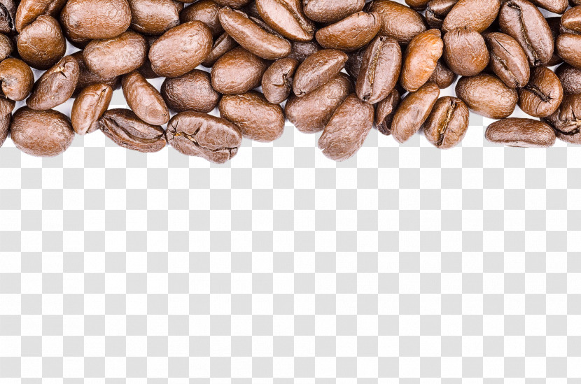Caffeine Brown Java Coffee Jamaican Blue Mountain Coffee Plant Transparent PNG