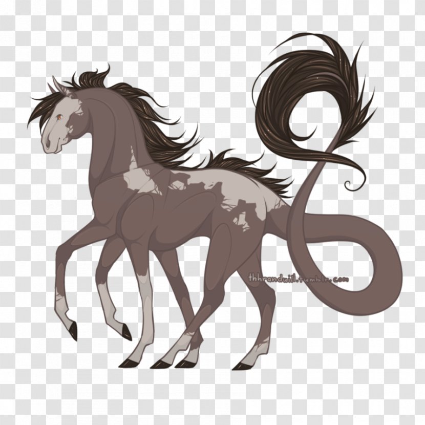 Pony Mustang Stallion Colt Foal - Legendary Creature Transparent PNG