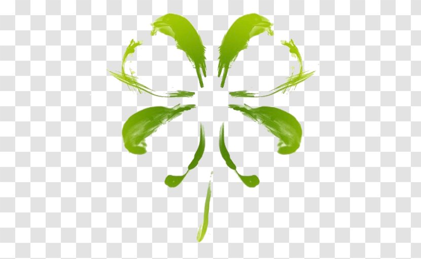Leaf Green Plant Flower Stem Transparent PNG
