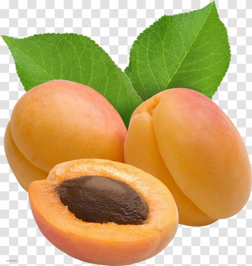 Dried Apricot Clip Art Transparent PNG