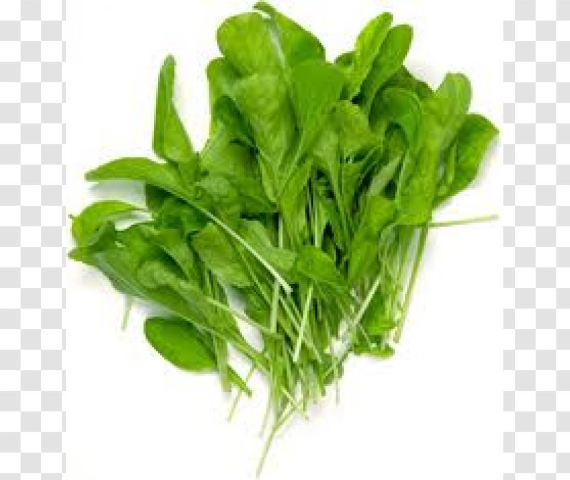 Arugula Plant Vegetable Vegetal Green Transparent PNG