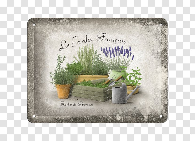 French Formal Garden France Vintage Post Cards - Plant Transparent PNG