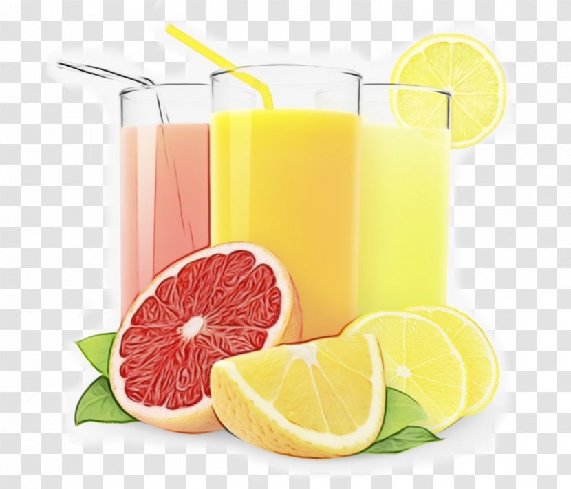 Juice Drink Citrus Food Vegetable - Watercolor - Ingredient Grapefruit Transparent PNG