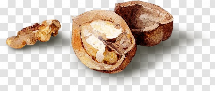 Walnut Food Dried Fruit - Almond - Open Transparent PNG