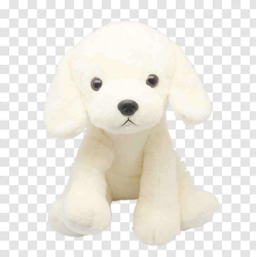 white puppy stuffed animal